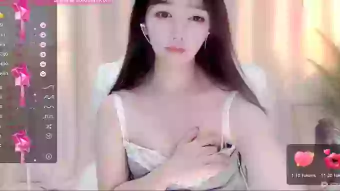 CAiHongtutu