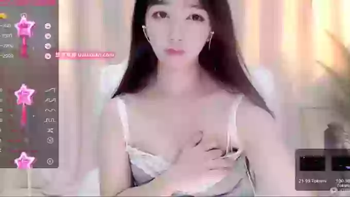 CAiHongtutu