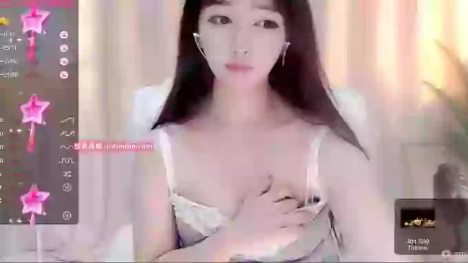 CAiHongtutu