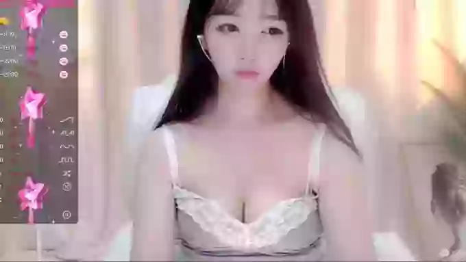 CAiHongtutu