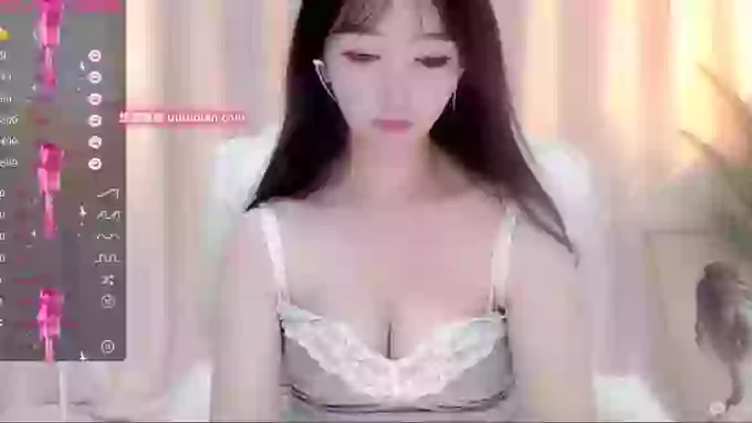 CAiHongtutu