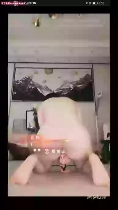 微博-梦菲桐香
