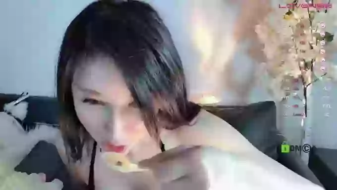 _z_____