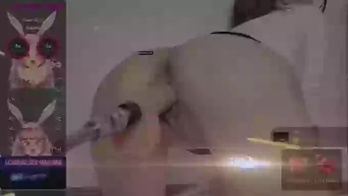 leilei-