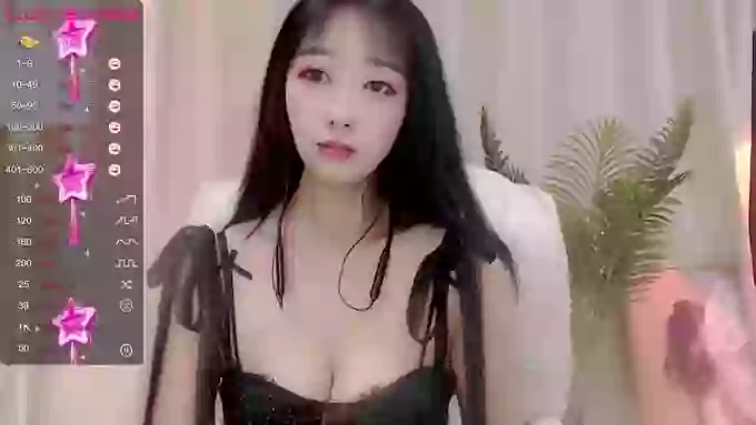 CAiHongtutu