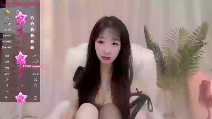 CAiHongtutu