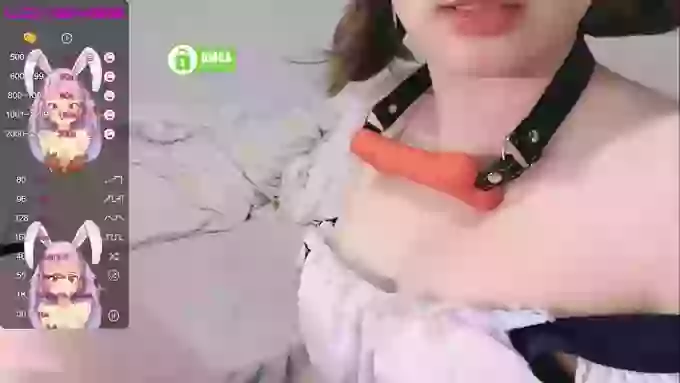 leilei-