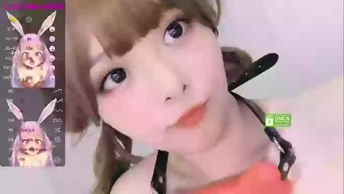 leilei-