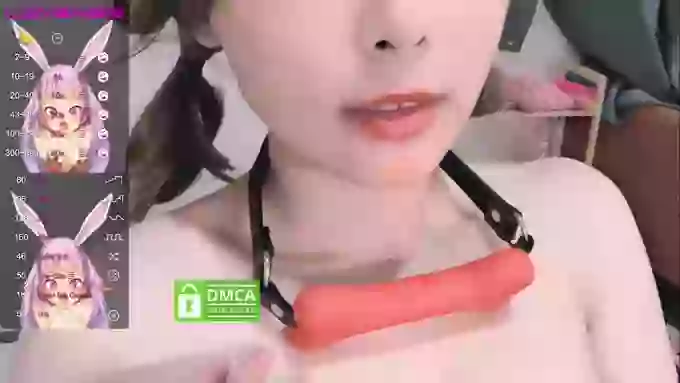 leilei-