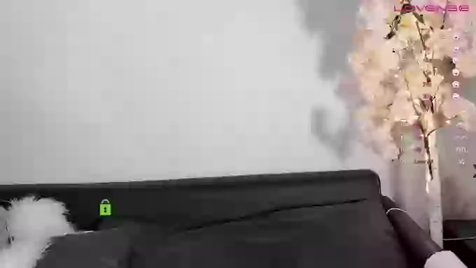 _z_____