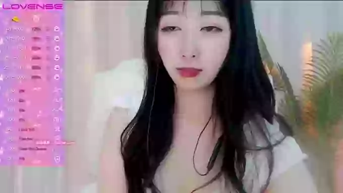 CAiHongtutu