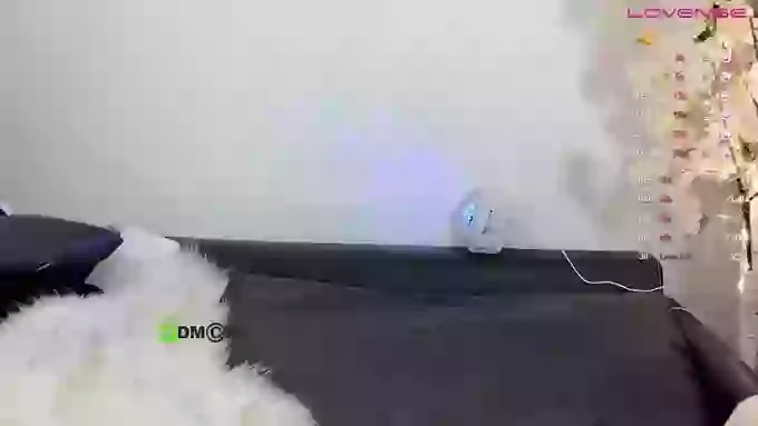 _z_____