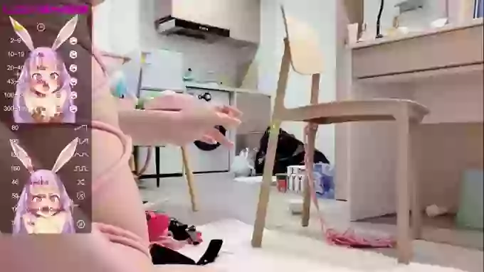 leilei-