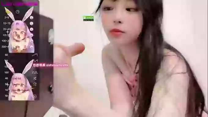 leilei-