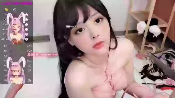 leilei-