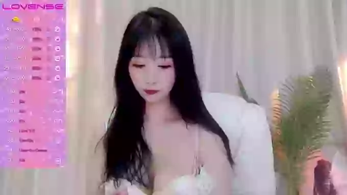 CAiHongtutu