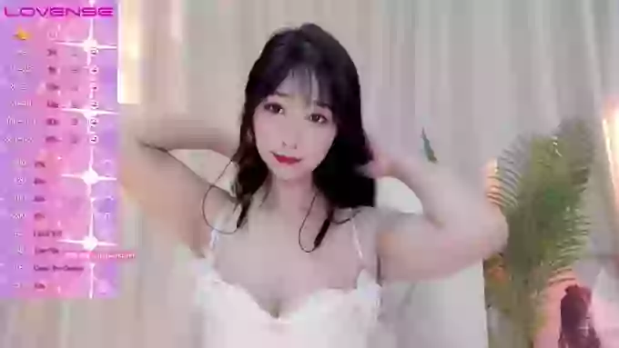 CAiHongtutu