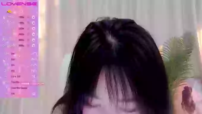 CAiHongtutu