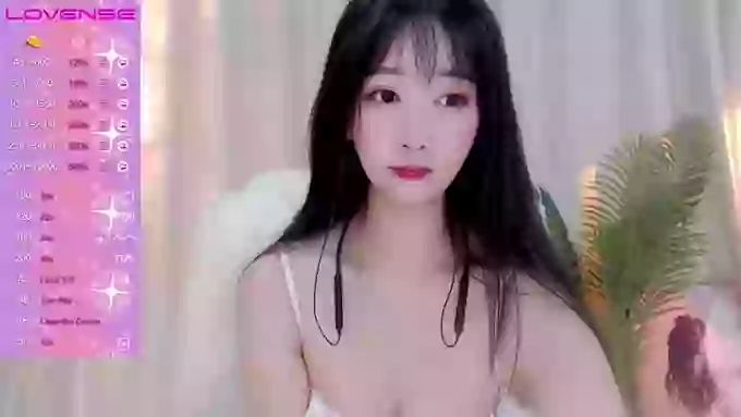 CAiHongtutu