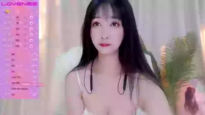 CAiHongtutu