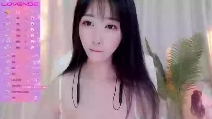 CAiHongtutu