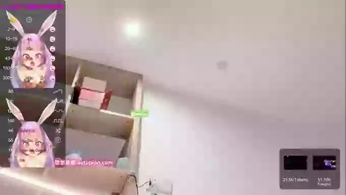 leilei-