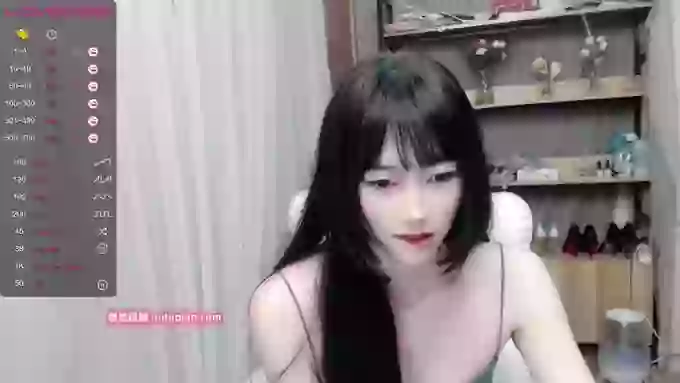 2yun2023z