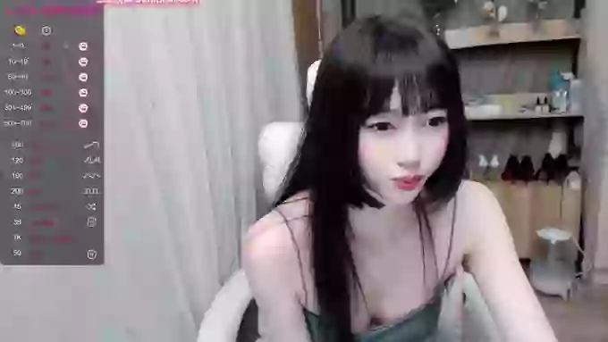 2yun2023z