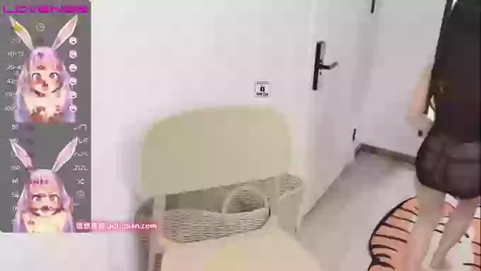 leilei-