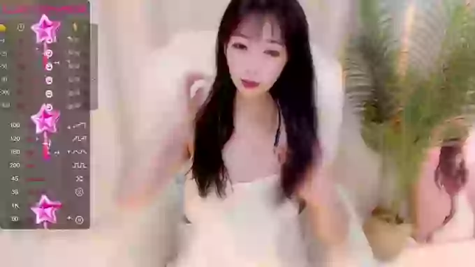 CAiHongtutu