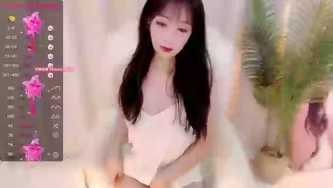 CAiHongtutu