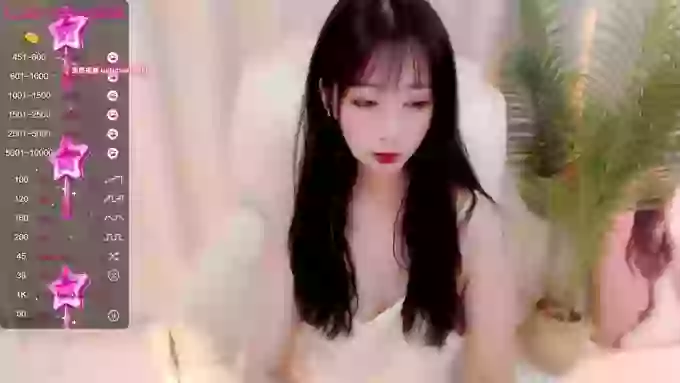 CAiHongtutu