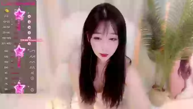 CAiHongtutu