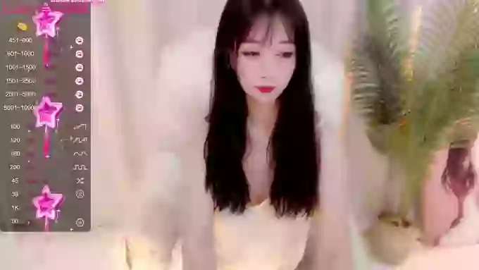 CAiHongtutu