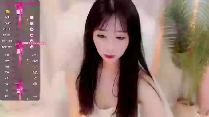 CAiHongtutu
