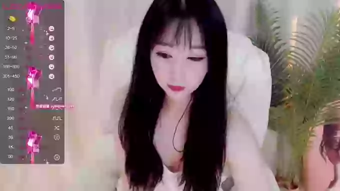 CAiHongtutu