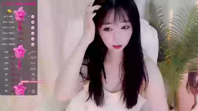 CAiHongtutu