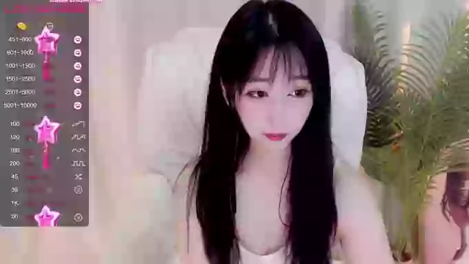 CAiHongtutu