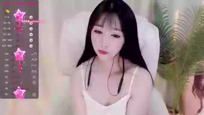 CAiHongtutu