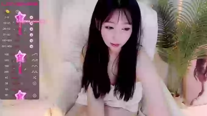 CAiHongtutu