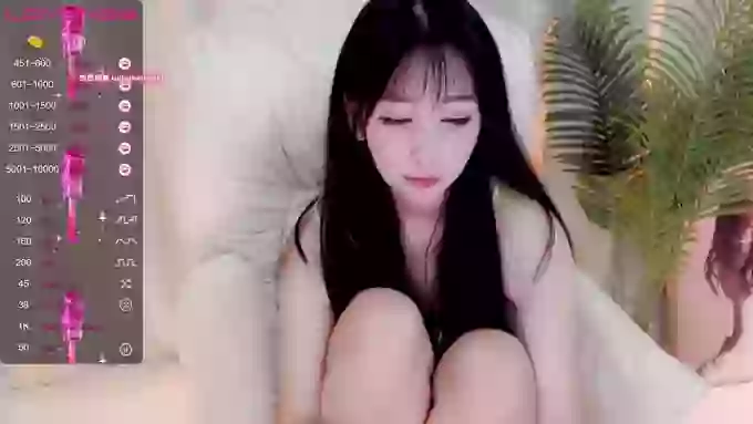CAiHongtutu