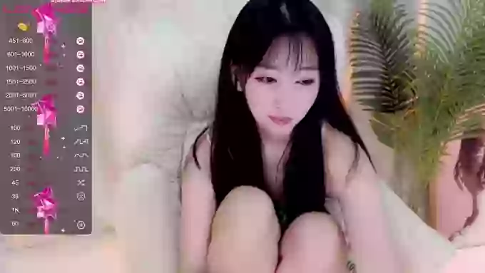 CAiHongtutu