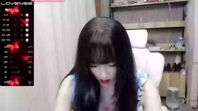 2yun2023z