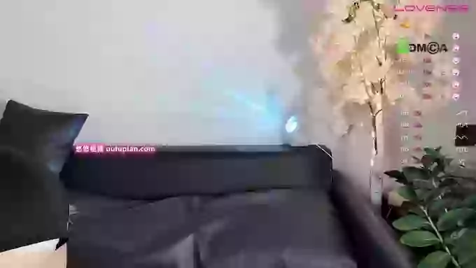 _z_____