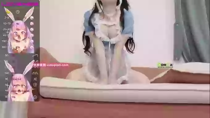 leilei-