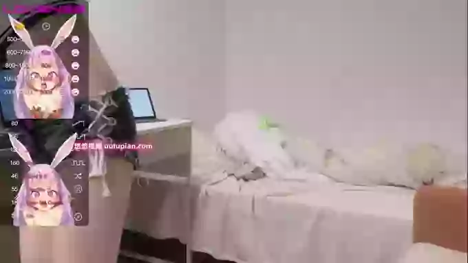 leilei-