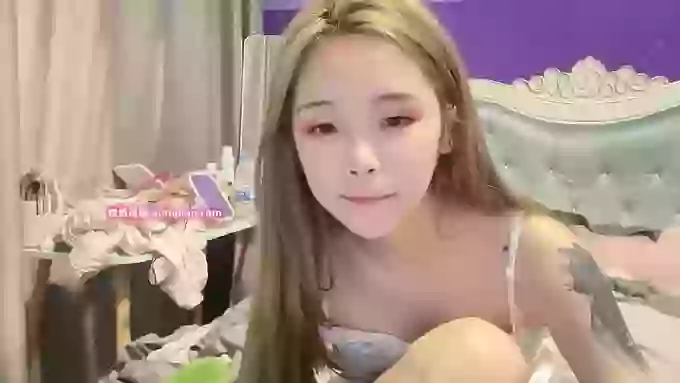 ai_meimei