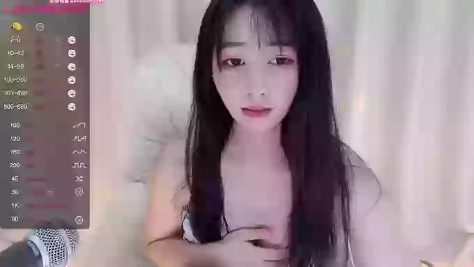 CAiHongtutu