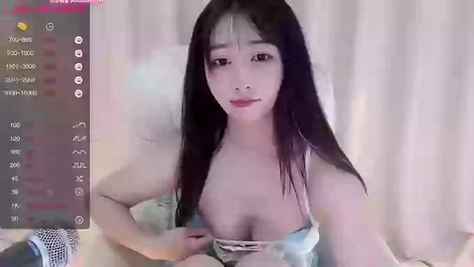 CAiHongtutu