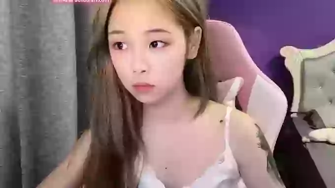 ai_meimei